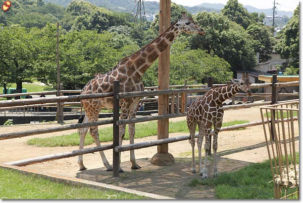 みさき公園