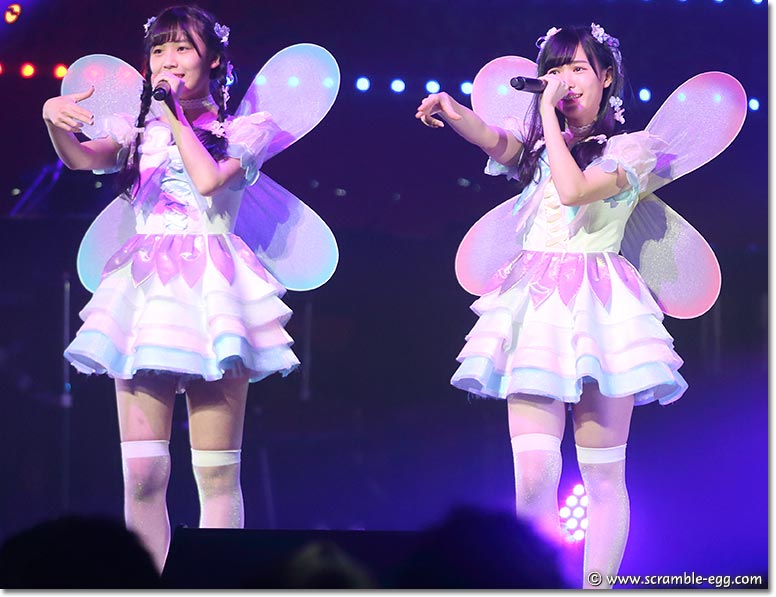 fairy w!nk フォトヒストリー7