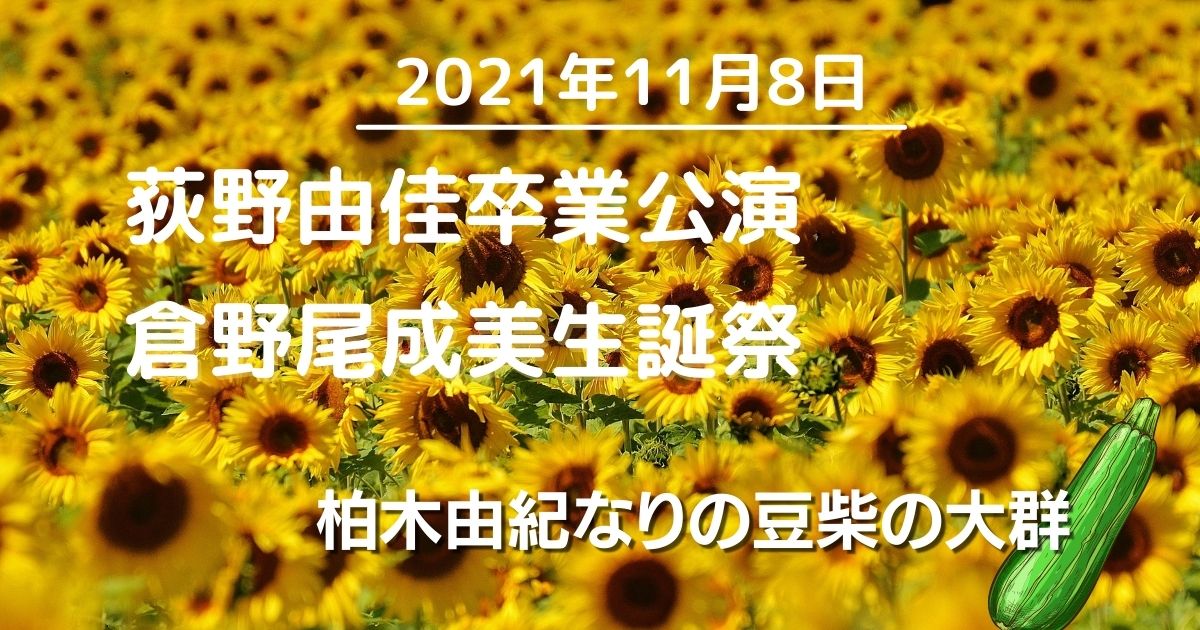2021年11月8日　荻野由佳卒業公演／倉野尾成美生誕祭／柏木由紀なりの豆柴の大群